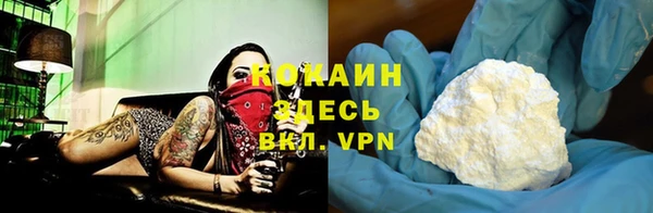 тгк Богданович