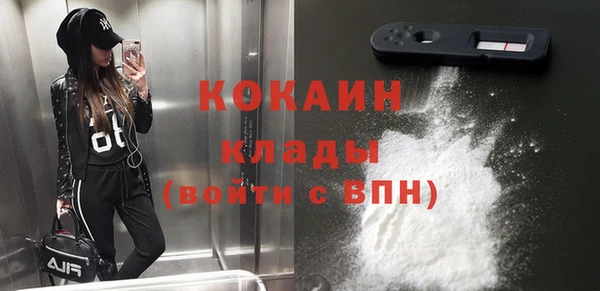 тгк Богданович
